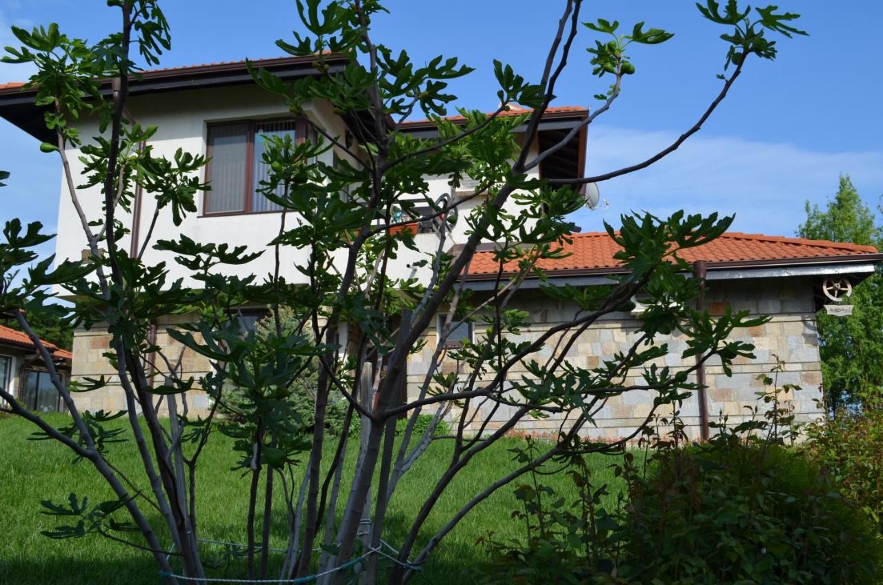 Виллы Villa on the Black Sea Солнечный Берег-43